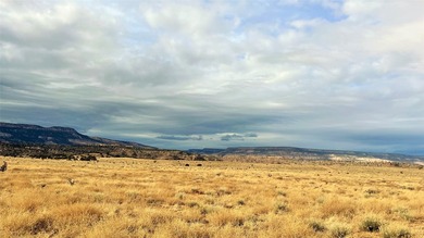 Set in beautiful O'Keefe Country, this wonderful 5 acre property - photo 2