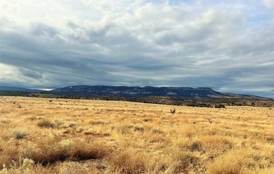 Set in beautiful O'Keefe Country, this wonderful 5 acre property - photo 3