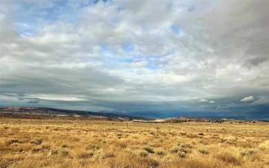 Set in beautiful O'Keefe Country, this wonderful 5 acre property - photo 4