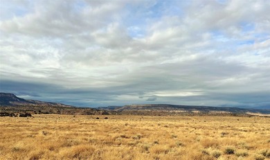 Set in beautiful O'Keefe Country, this wonderful 5 acre property - photo 5