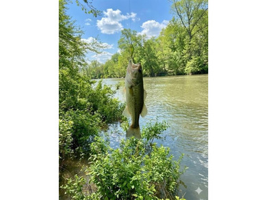 Kiamichi River Home For Sale in Muse Oklahoma