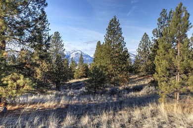 Extraordinary prime building lot in the one-of-a-kind exclusive - photo 11