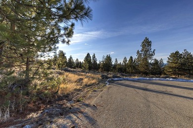 Extraordinary prime building lot in the one-of-a-kind exclusive - photo 12