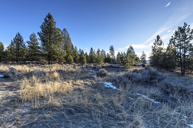 Extraordinary prime building lot in the one-of-a-kind exclusive - photo 14