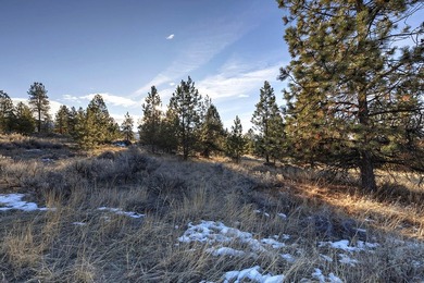 Extraordinary prime building lot in the one-of-a-kind exclusive - photo 15