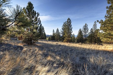 Extraordinary prime building lot in the one-of-a-kind exclusive - photo 16