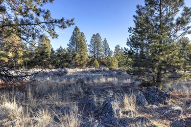 Extraordinary prime building lot in the one-of-a-kind exclusive - photo 18