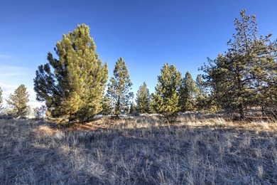 Extraordinary prime building lot in the one-of-a-kind exclusive - photo 19