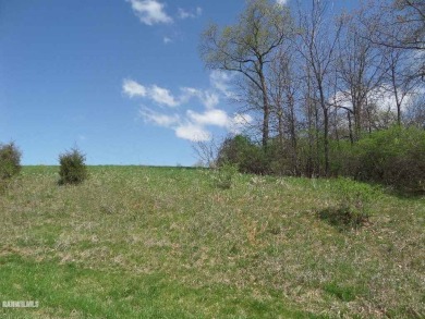 Lake Lot For Sale in Lake Carroll, Illinois