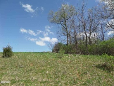 This 1.95 acre parcel is a great building site with panoramic - photo 2