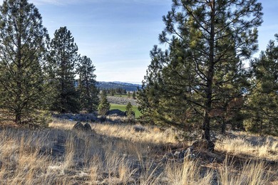 Extraordinary prime building lot in the one-of-a-kind exclusive - photo 26