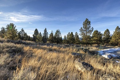Extraordinary prime building lot in the one-of-a-kind exclusive - photo 31