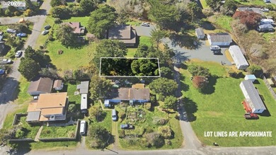 Opportunity awaits in scenic Bandon! Situated on 0.18 acres - photo 4