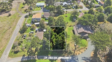 Opportunity awaits in scenic Bandon! Situated on 0.18 acres - photo 5