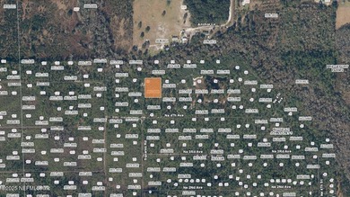 St. Johns River Lot For Sale in Palatka Florida