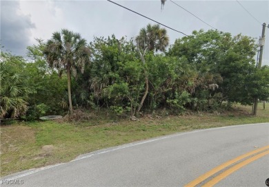 Port Charlotte Waterway Lakes Area Lot For Sale in Port Charlotte Florida