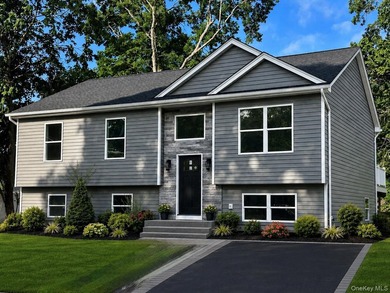 Beautiful New Construction Raised Ranch Ready for you to move - photo 1