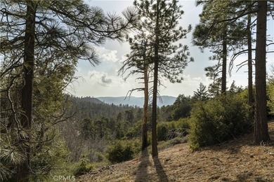 32945 Juniper Ln - photo 24
