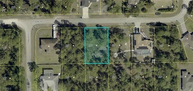 Lehigh Acres Area Lot For Sale in Lehigh Acres Florida