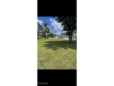 For Sale- Oversized Lot With Dual Street Access or 3 Access - photo 2