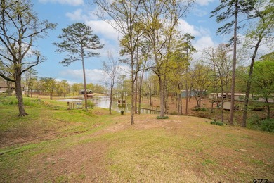 Waterfront Manufactured Home on Lake Bob Sandlin 2 Bed | 2 Bath - photo 6