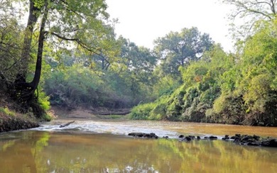 (private lake, pond, creek) Acreage For Sale in Lufkin Texas