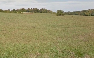 Cherokee Lake Acreage For Sale in Jefferson City Tennessee