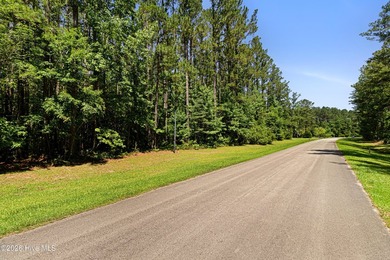 Build your coastal dream home on this spacious lot of over half - photo 12