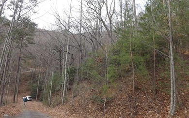 This lot is perfect for a secluded get-a-way cabin home adjacent - photo 22