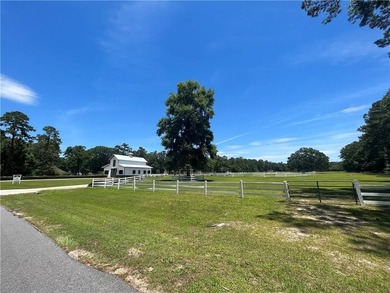 Beautiful home on Sapelo Circle in Belvedere Island Plantation - photo 43