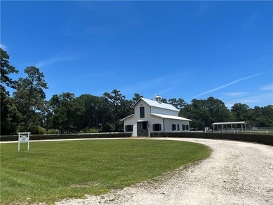 Beautiful home on Sapelo Circle in Belvedere Island Plantation - photo 44