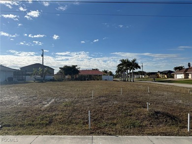 Southern exposure homesite located in desirable SW Cape Coral - photo 2