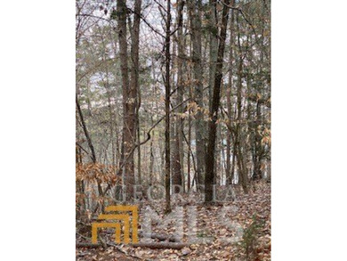 Build your dream home on this beautiful 1.4 acre lot overlooking - photo 2