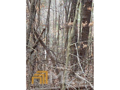 Build your dream home on this beautiful 1.4 acre lot overlooking - photo 3