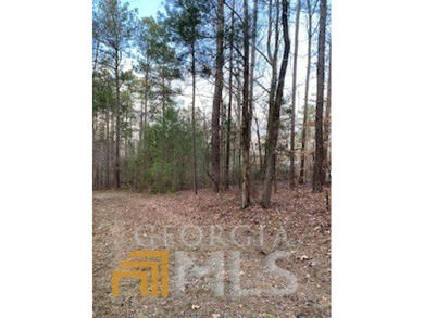 Build your dream home on this beautiful 1.4 acre lot overlooking - photo 4