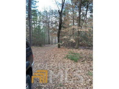 Build your dream home on this beautiful 1.4 acre lot overlooking - photo 5
