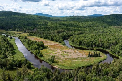 Lake Acreage For Sale in Indian Lake, New York