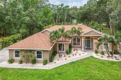 Lake Joanna Home For Sale in Eustis Florida