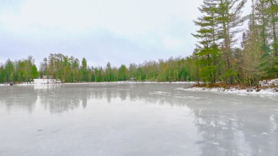 Lake Acreage For Sale in Watersmeet, Michigan