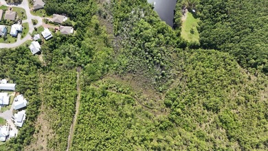 Bordering Longleaf Trail and less than a mile from Gulf access - photo 4