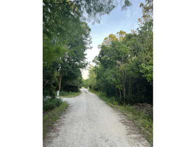 Bordering Longleaf Trail and less than a mile from Gulf access - photo 5