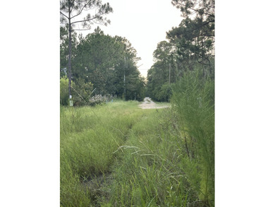 Bordering Longleaf Trail and less than a mile from Gulf access - photo 8