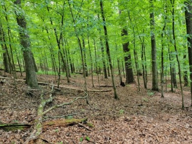 Lake Lot For Sale in Ft. Gaines, Georgia