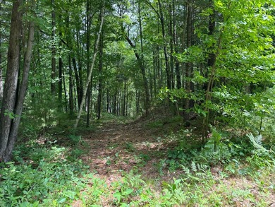 Long Lake - Burnett County Lot For Sale in Siren Wisconsin