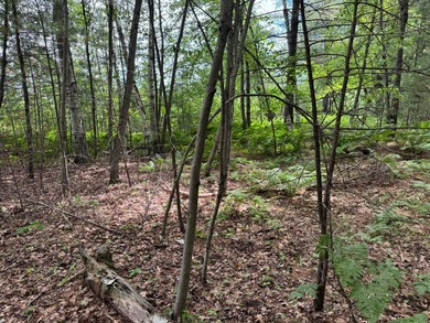 Build your dream lake home or Northwoods retreat on beautiful - photo 2