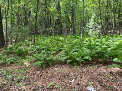 Build your dream lake home or Northwoods retreat on beautiful - photo 3