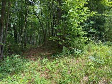 Build your dream lake home or Northwoods retreat on beautiful - photo 5