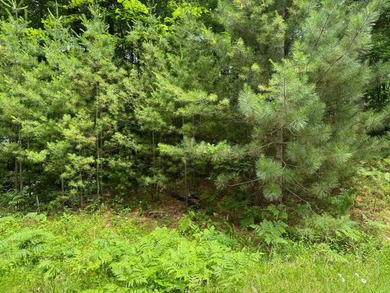 Build your dream lake home or Northwoods retreat on beautiful - photo 8