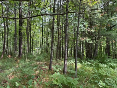 Build your dream lake home or Northwoods retreat on beautiful - photo 9
