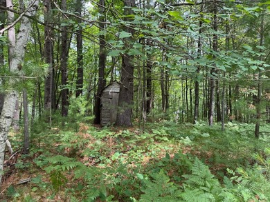 Build your dream lake home or Northwoods retreat on beautiful - photo 10